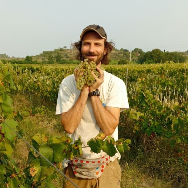 Pendant les vendanges.