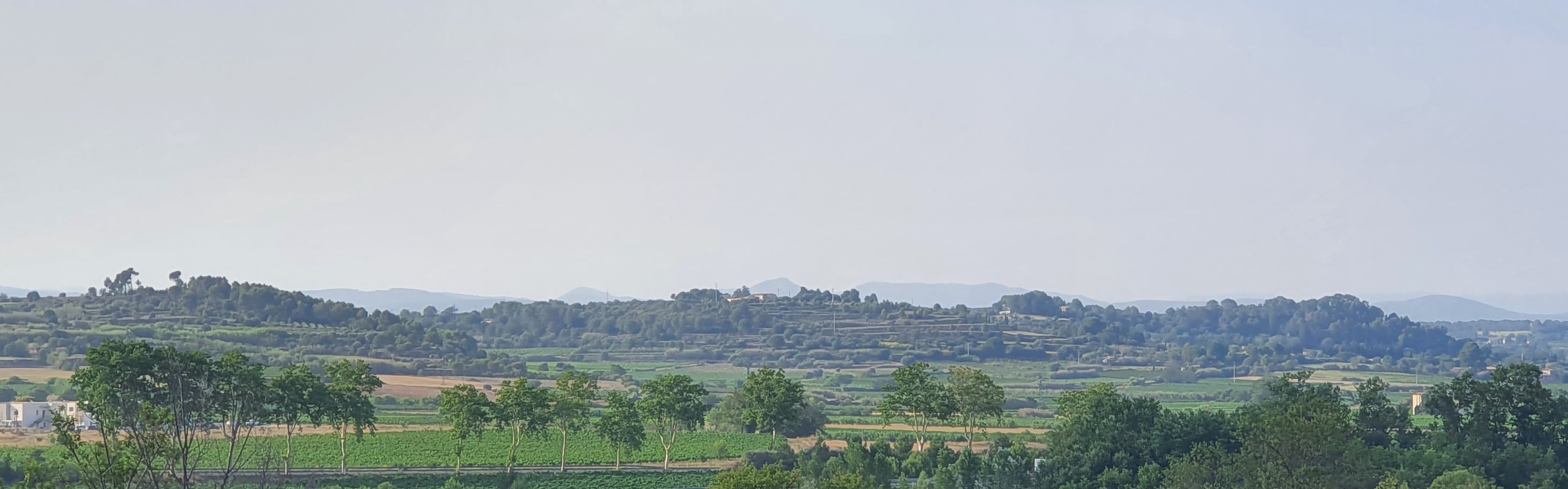Nous sommes situés entre Tourbes et Pézenas, sur des collines formées par les différents retraits de la mer, il y a des millions d'années.